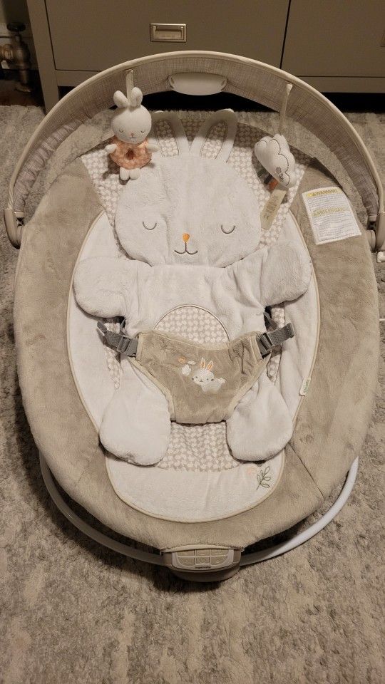 Baby Bouncer