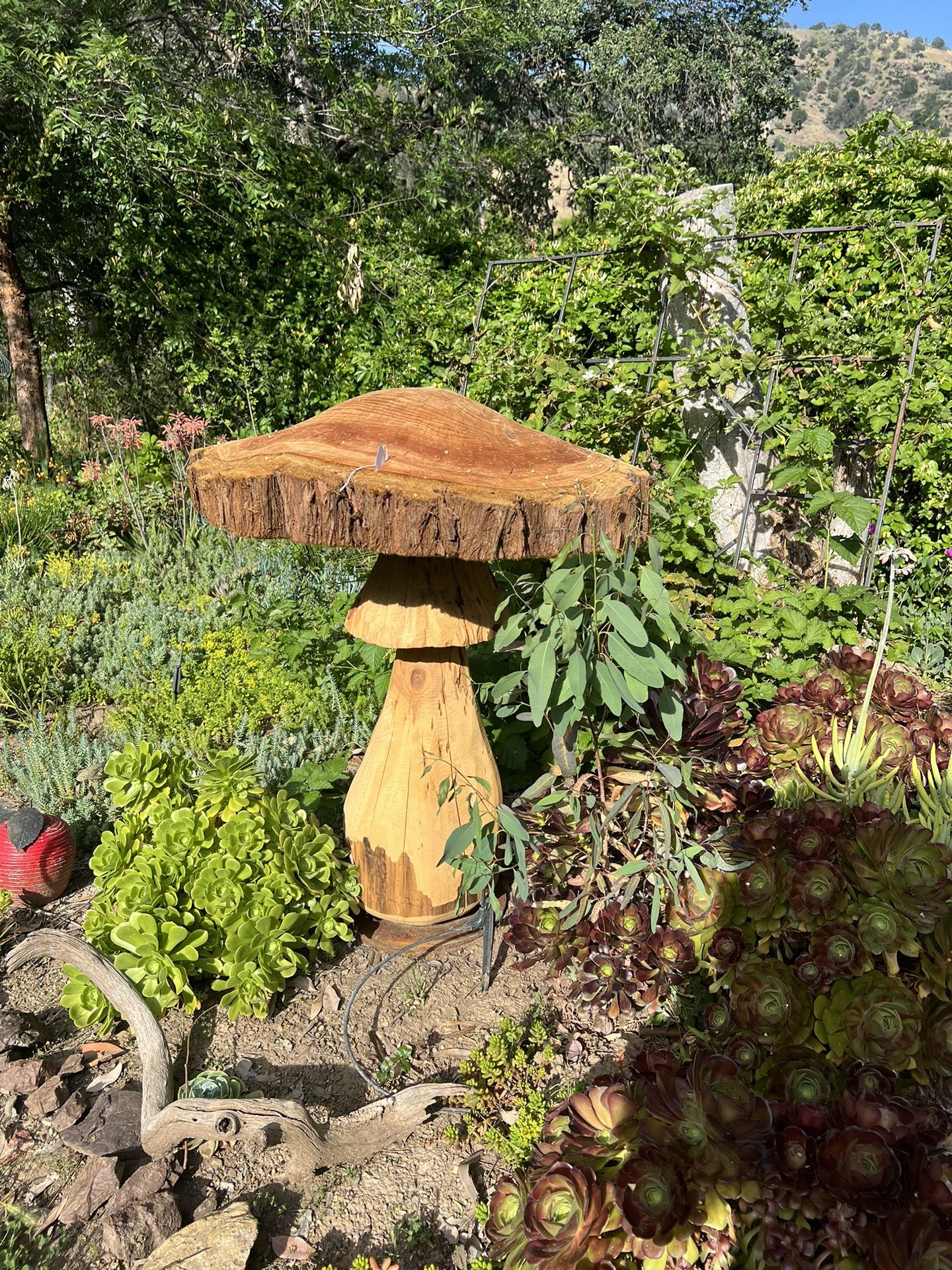 Hand Carved Wooden Mushroom Sculpture