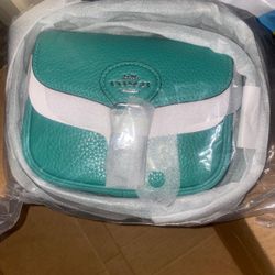 Coach small Amelia Saddle Bag