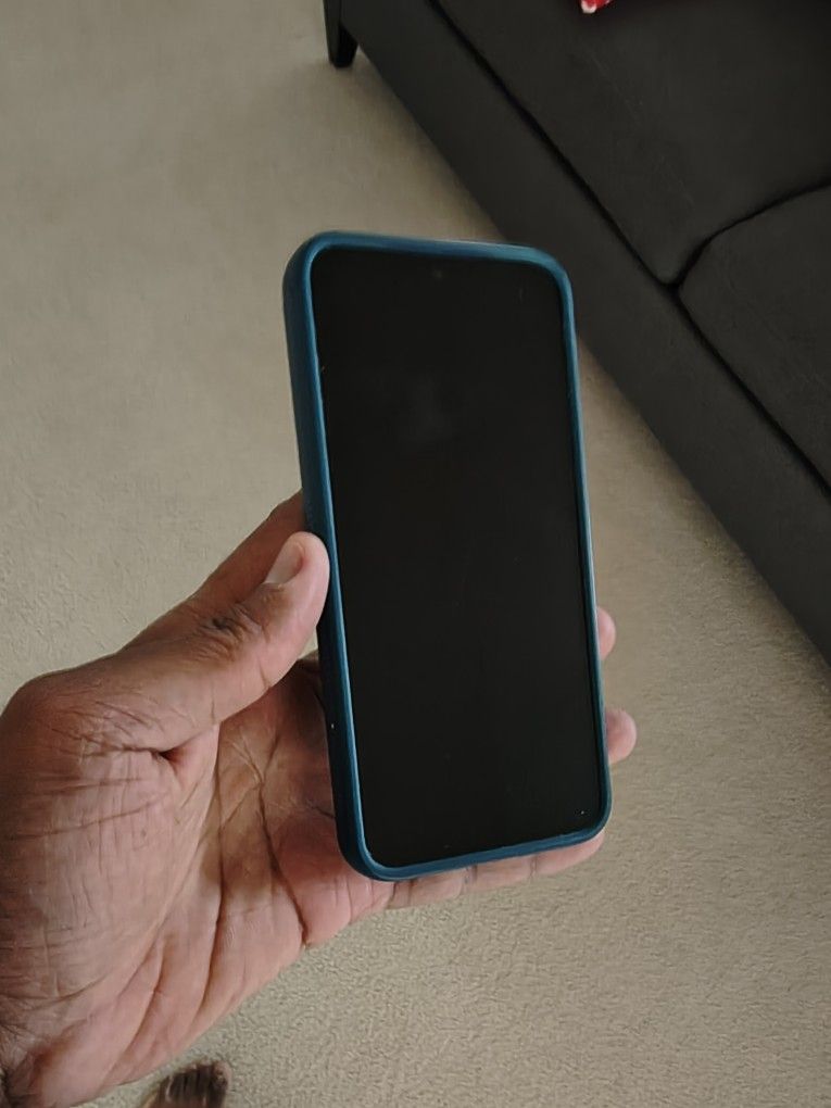 Samsung Galaxy S25 256 GB With Case