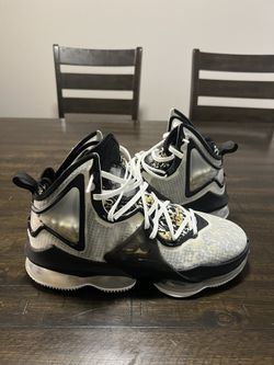 Lebron James Sneakers