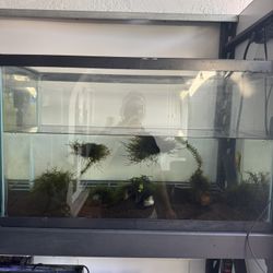 Se Vende Acuario De 30 Galones 