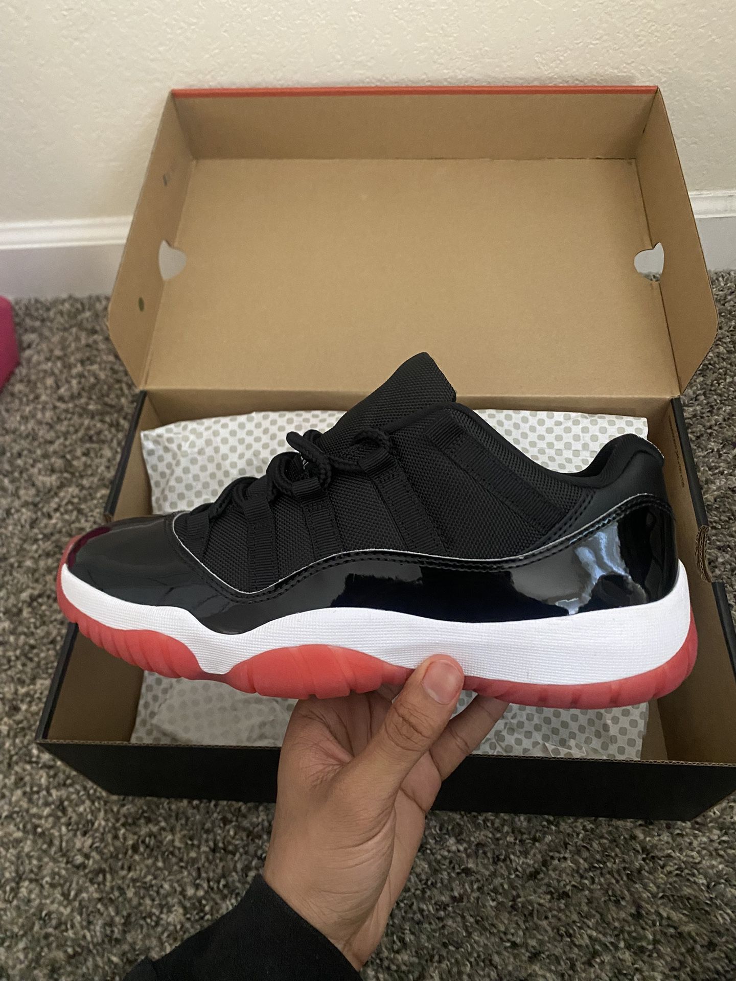 Air Jordan 11 Low