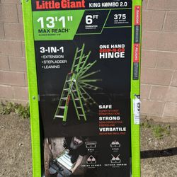 Little Giant Ladder Brand New