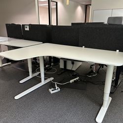 Stand Up Desk 