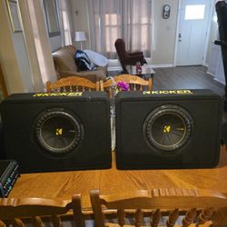 Kicker 10" Box Subwoofers