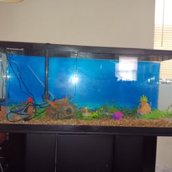 Like New 55 Gallon Aquarium Fish Tank With Modern Wood Stand In Great Condition Comes With Everything 