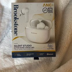 Brookstone Earbuds
