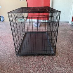 42” Top Paw Double-Door Folding Wire Dog Crate – Large Breed – Includes Tray
