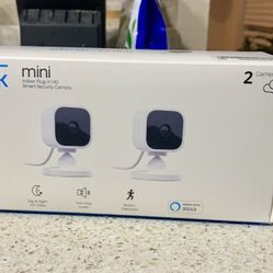 Blink Mini (2 Cameras) - New