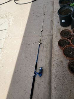 Fishing rod with reel