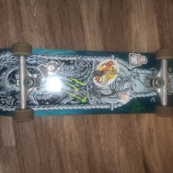 Professional Skateboard 