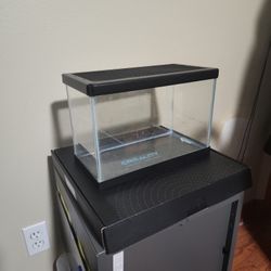 Small Terrarium - 6 X 12 X 8.5