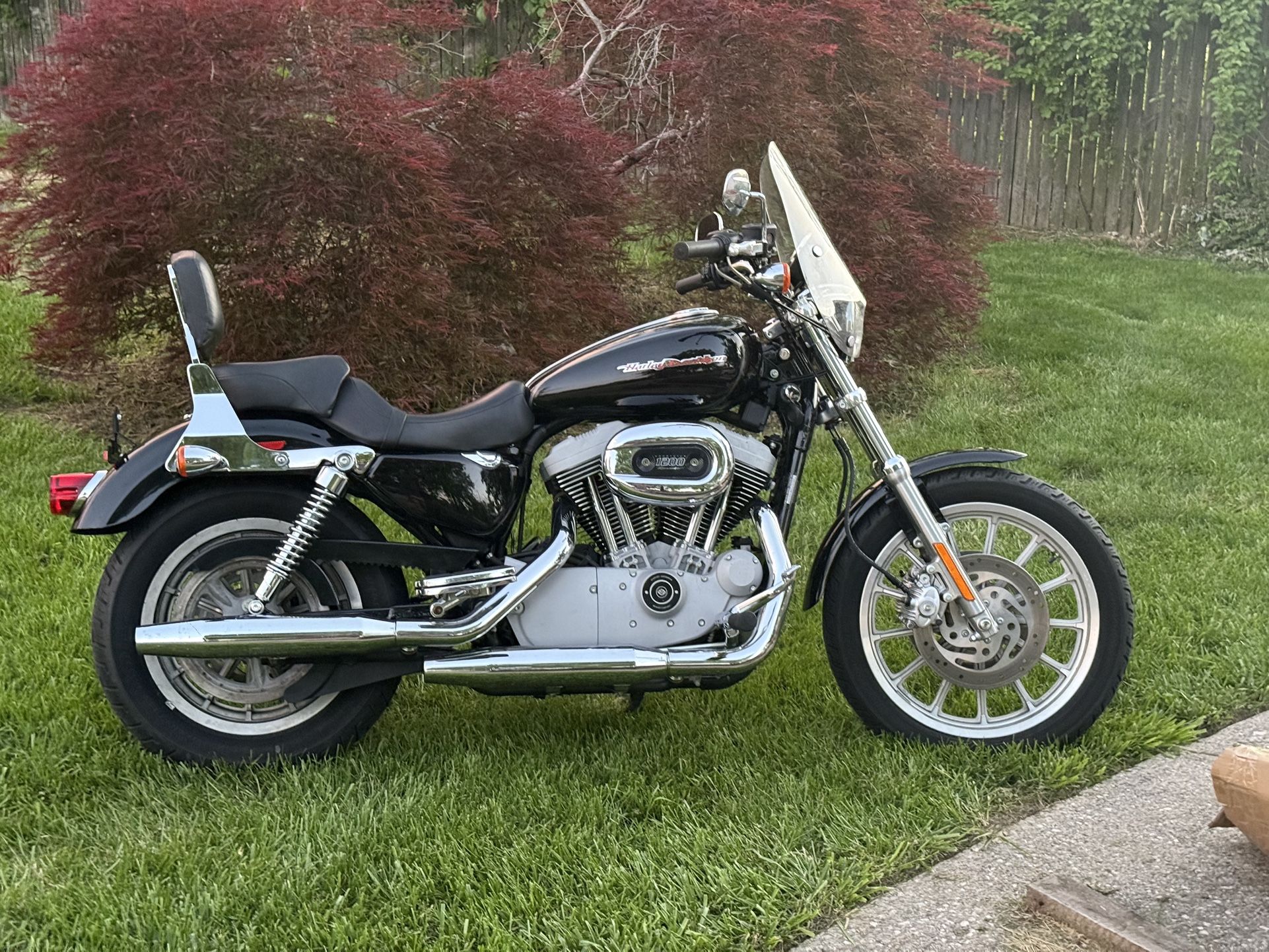 2004 Harley Davidson Sportster 1200