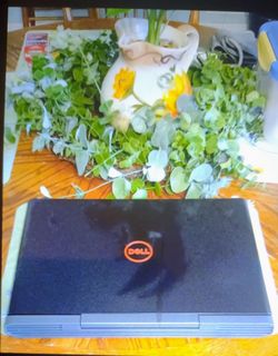 Dell G5-Gaming Laptop with i7 processor.
