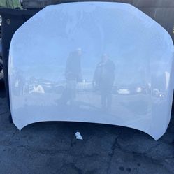 2024 Honda Accord Hood Oem Parts