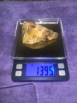 Raw Petrified Wood Specimen 1395gn