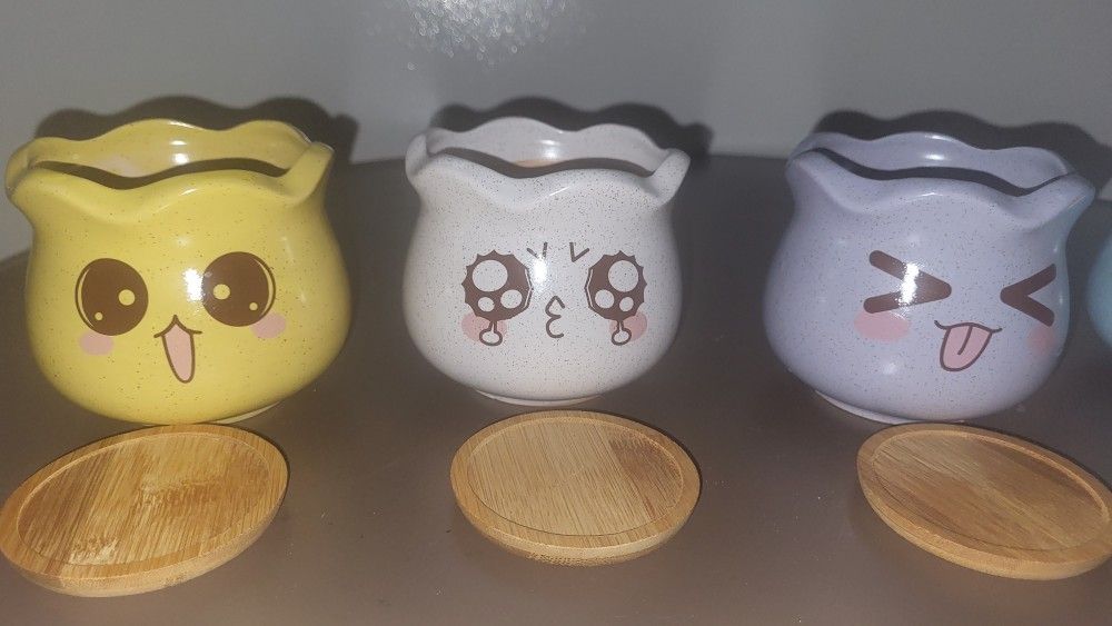 KAWAII Emoticons Plant Potters, 5 count