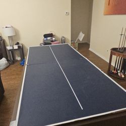Pool Table/ Ping Pong Table 