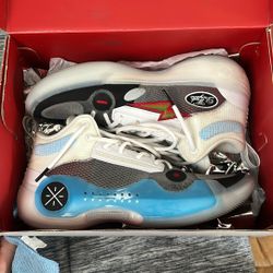 Dwade 10 Hot Flash Color Way