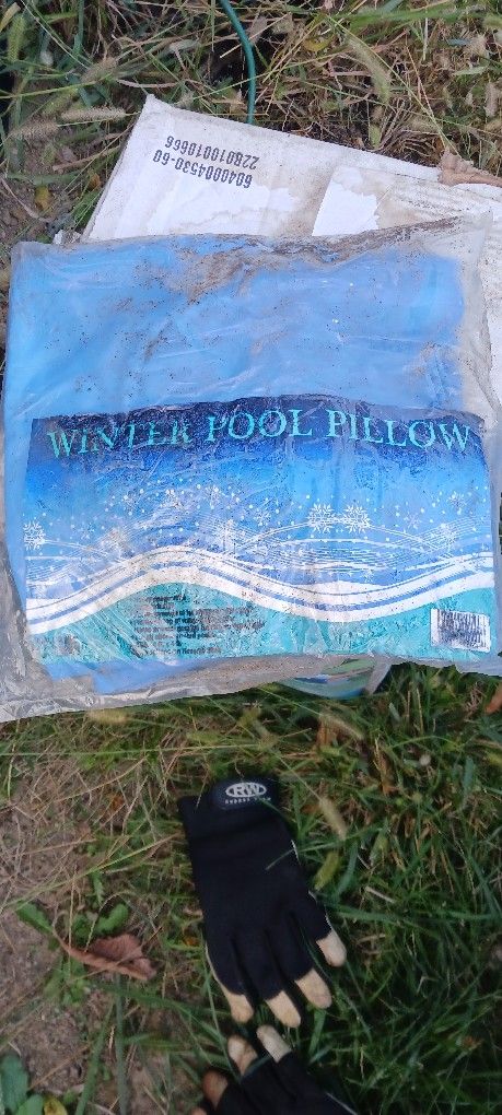 Pool Pillow