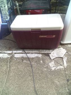 Cooler