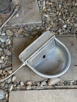 Perpetual water bowl