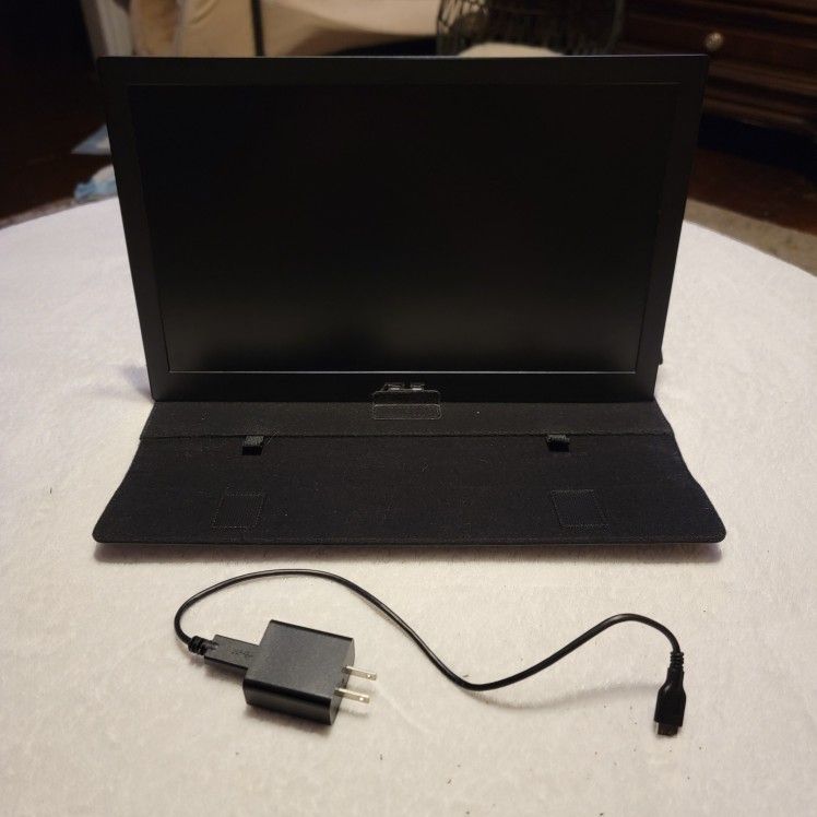 ASUS MB168 15.6" WXGA 1366x768 USB Portable Monitor With Case