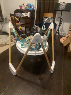Baby Bouncer