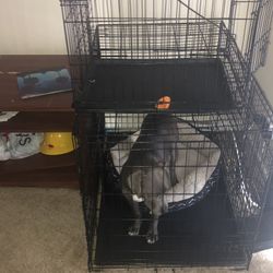 Extra Large Cage 
