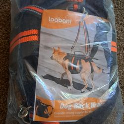 Dog back brace 