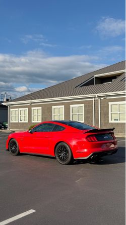 2019 Ford Mustang