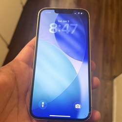 iPhone 13 Pro 256GB unlocked