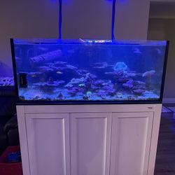 100gal Aquarium w/fish *everything Included*