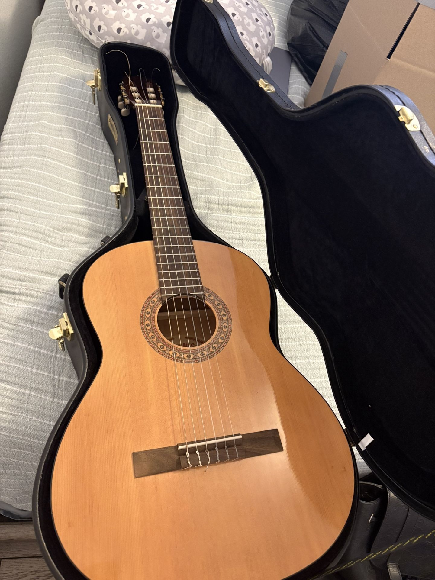 Guitar With Case