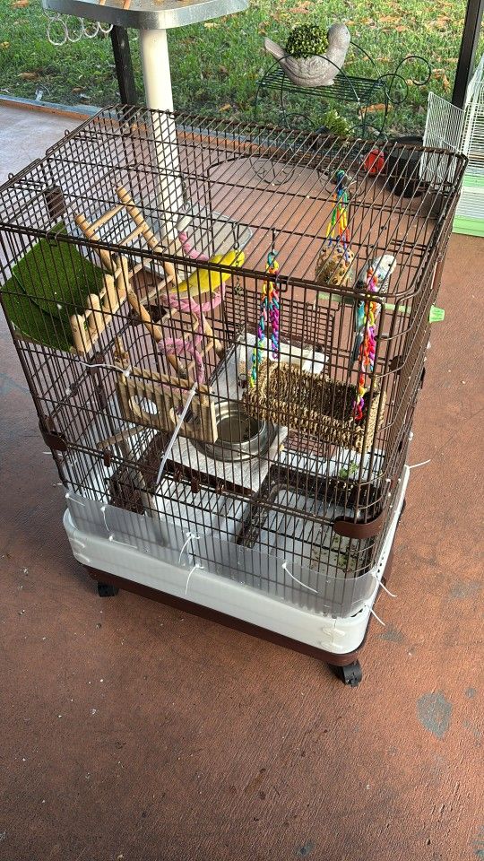 Bird Cage ( Birds Not Included)