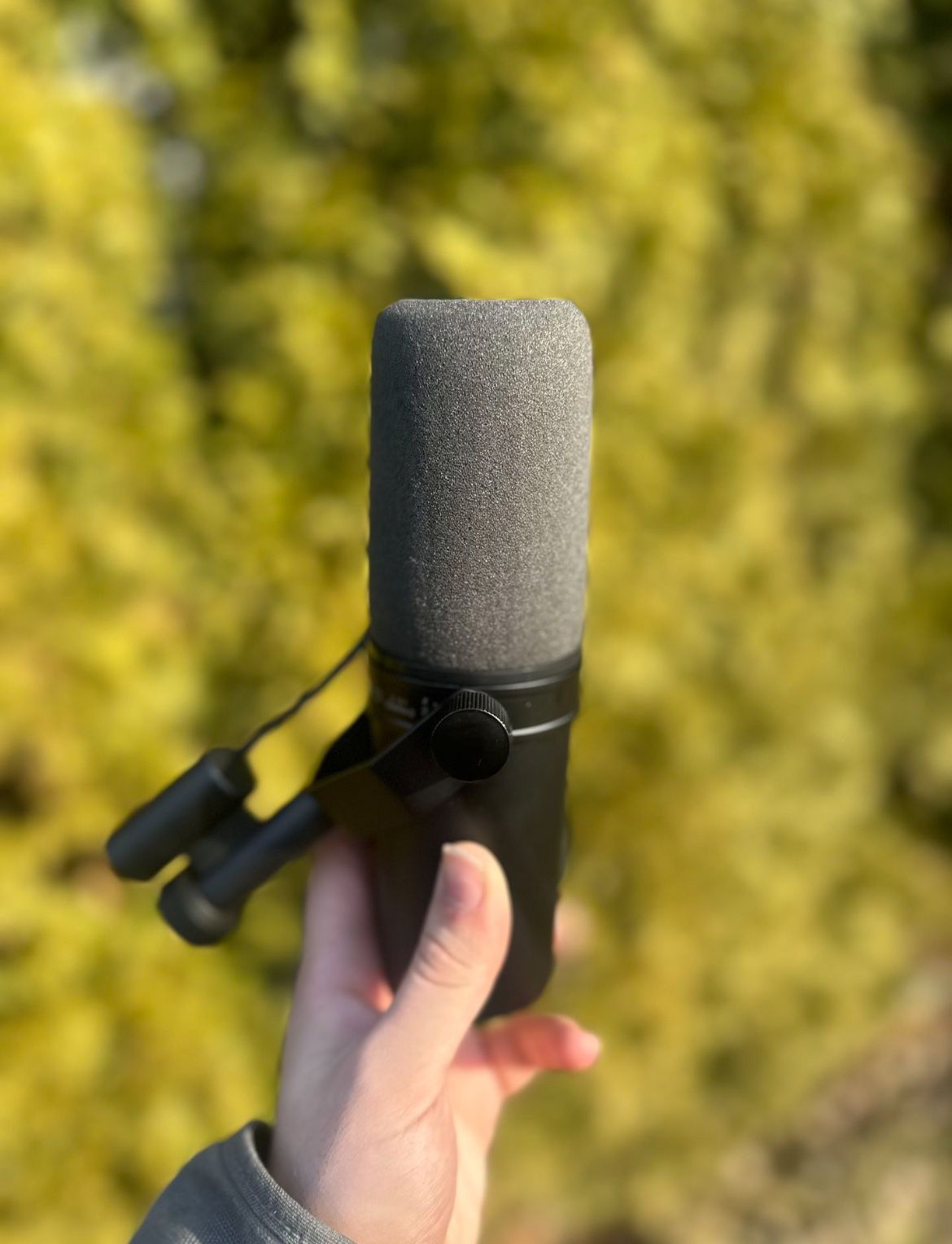 Shure Sm7b Microphone