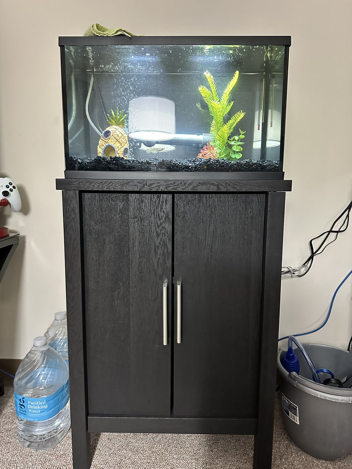 10 Gallon Fish Tank With Stand 