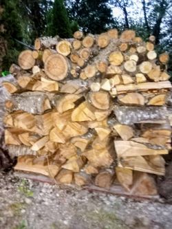 Covered and aged Firewood For Sale.