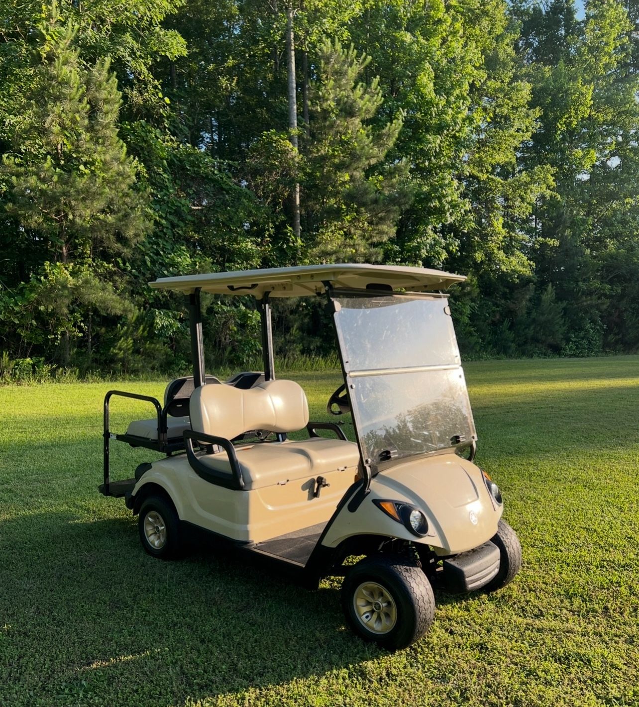 Yamaha Gas Golf Cart (Free Delivery)