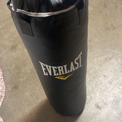 everlast heavy bag