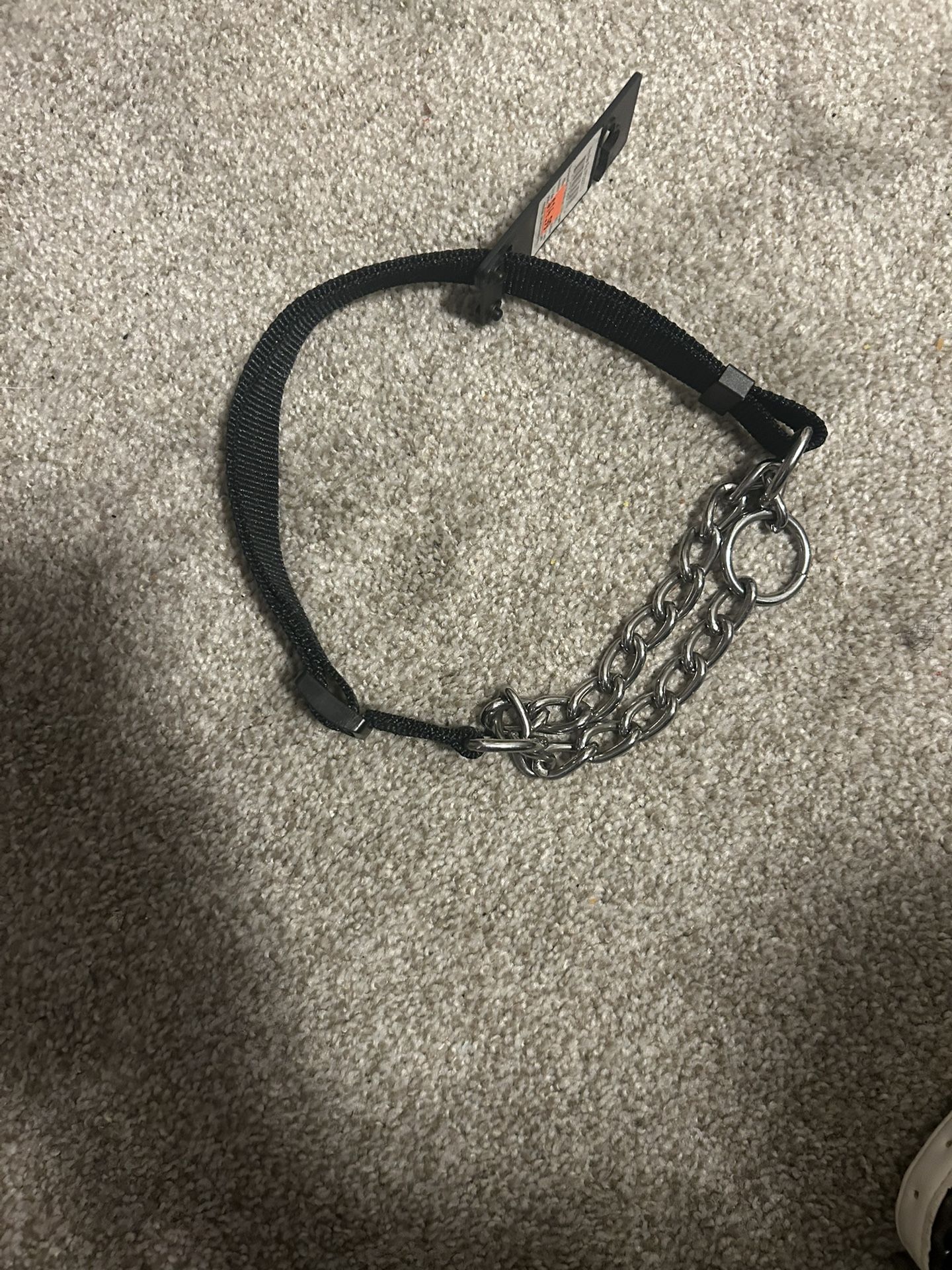 Brand New dog collar Never used tags On! 