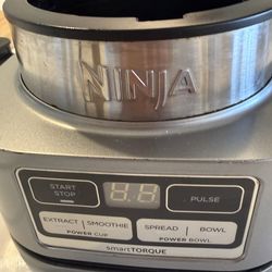 Ninja smoothie blender