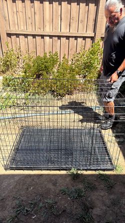 Large Dog Cage / Kennel – Spacious & Sturdy