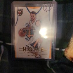Steph Curry Home Panini Complete 2015-2016 #10