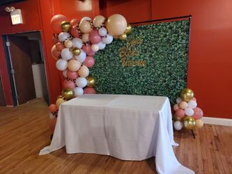 Ballon Backdrop