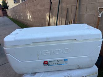 Igloo cooler 150 quarts