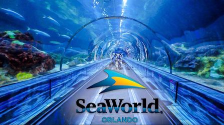 Seaworld Orlando