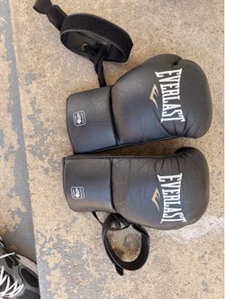 Everlast MX2 10oz fight gloves