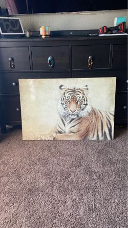 Tiger canvas